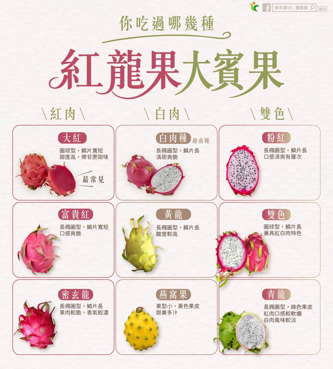 纖維竟贏蘋果！紅龍果產季大爆發 紅白肉功效、營養差別曝