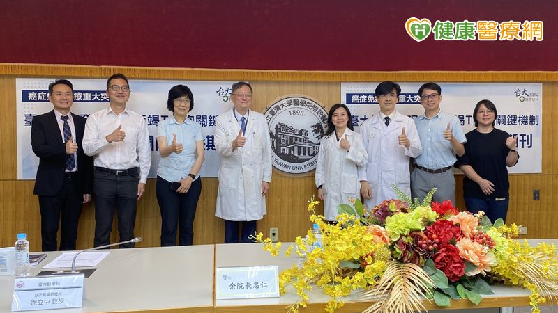 免疫治療效果不如預期?醫:與「T細胞耗竭」有關 臺大研究揭1關鍵機制 免疫治療效果不如預期?醫:與「T細胞耗竭」有關 臺大研究揭1關鍵機制