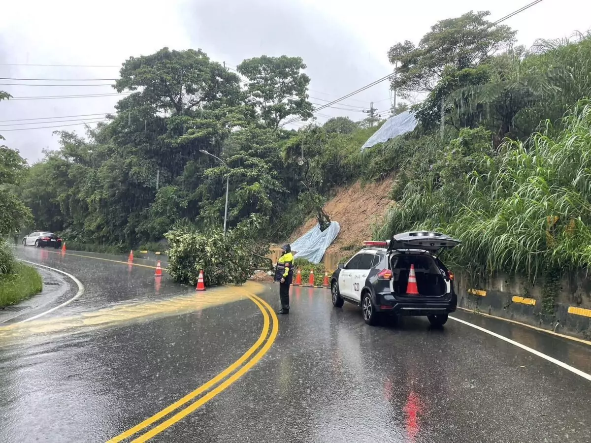 蘆竹這路段土石滑落、樹倒占車道!改單線雙向通行 832862 0
