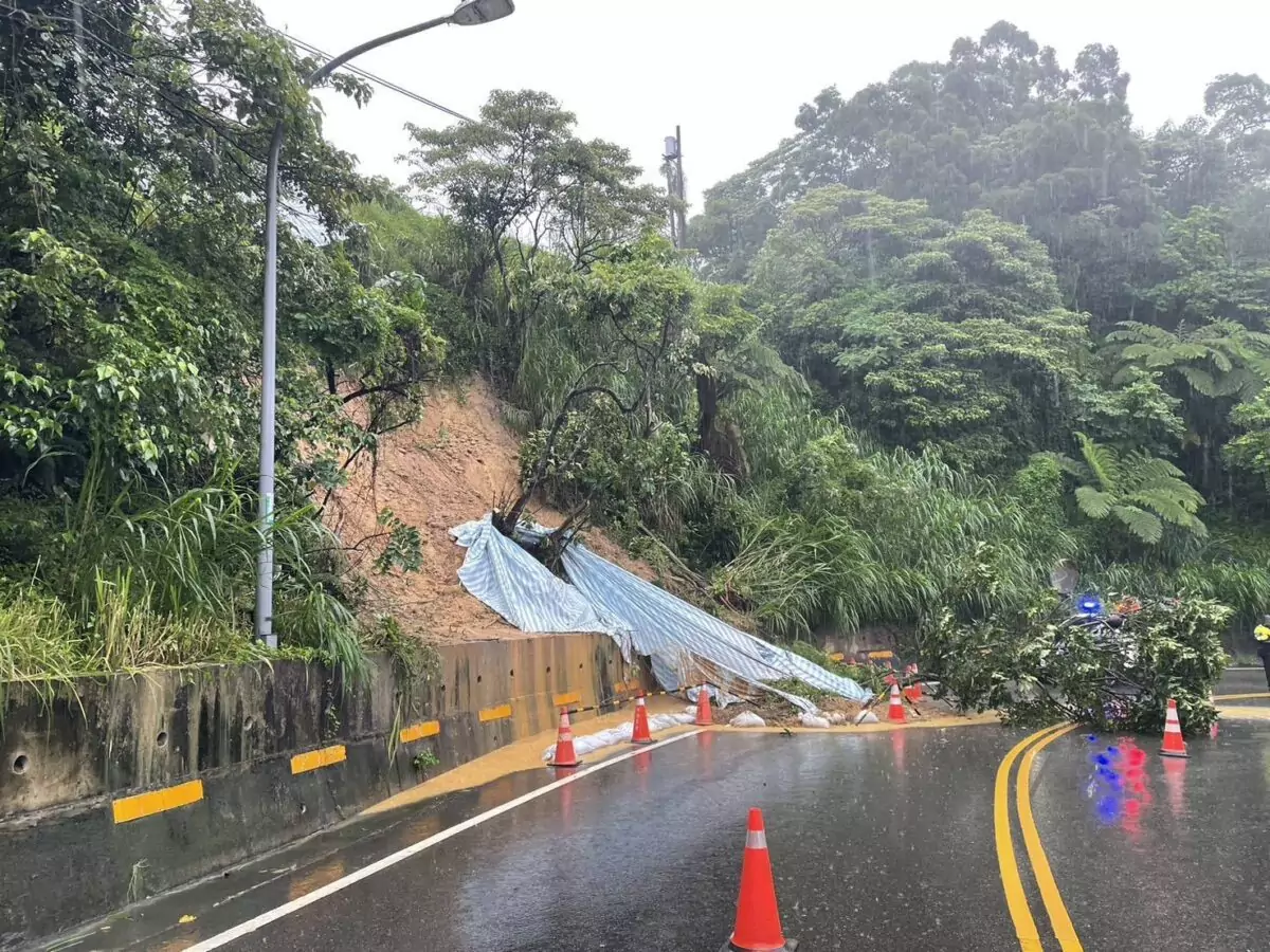 蘆竹這路段土石滑落、樹倒占車道!改單線雙向通行 832865 0