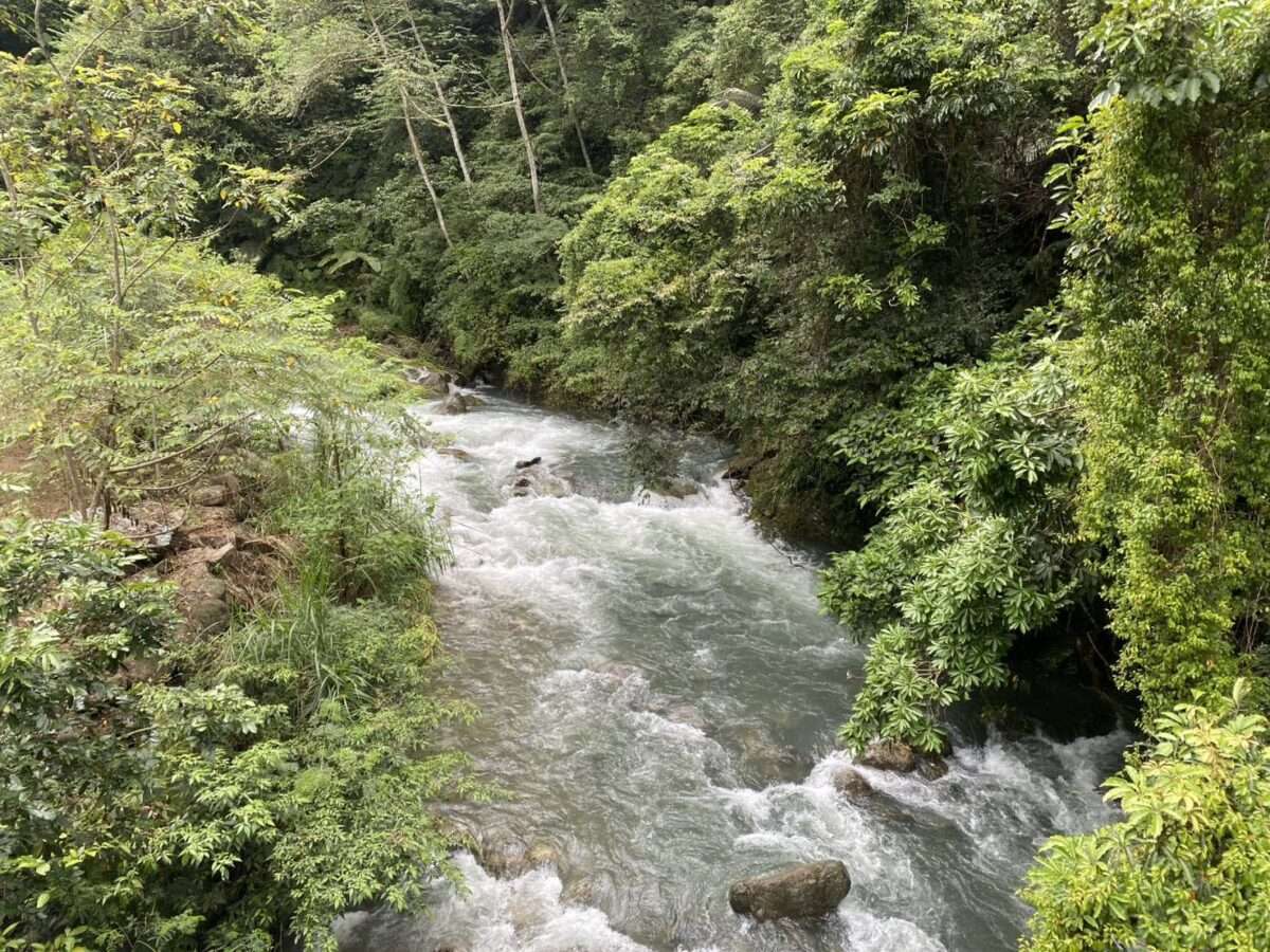 S 332939271