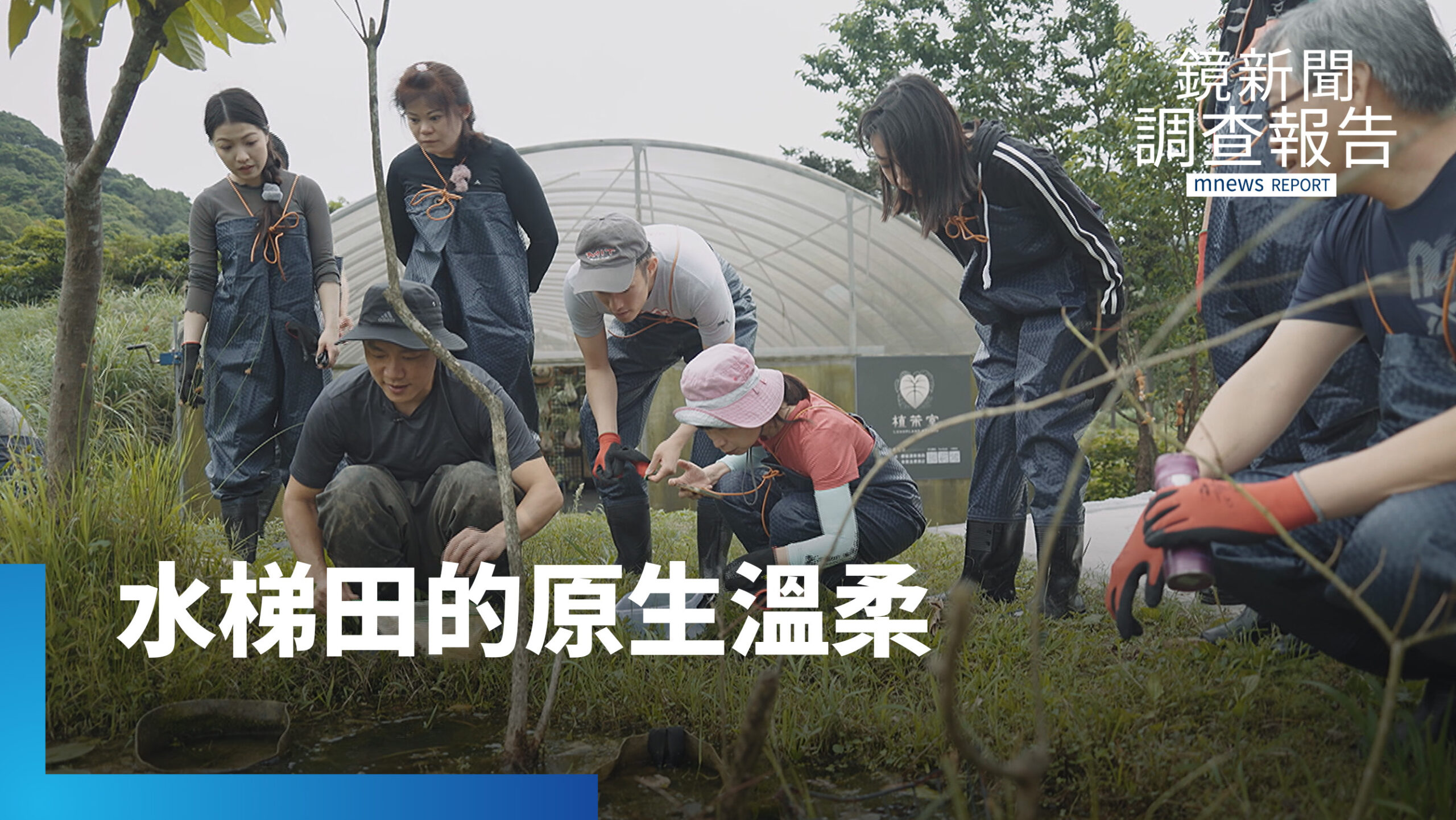 石門百年水梯田 築起臺灣物種復育防線 利用獨立水線阻絕外來種 推動保種行動與環境教育|淺山裡的溫柔 石門百年水梯田 築起臺灣物種復育防線 利用獨立水線阻絕外來種 推動保種行動與環境教育|淺山裡的溫柔