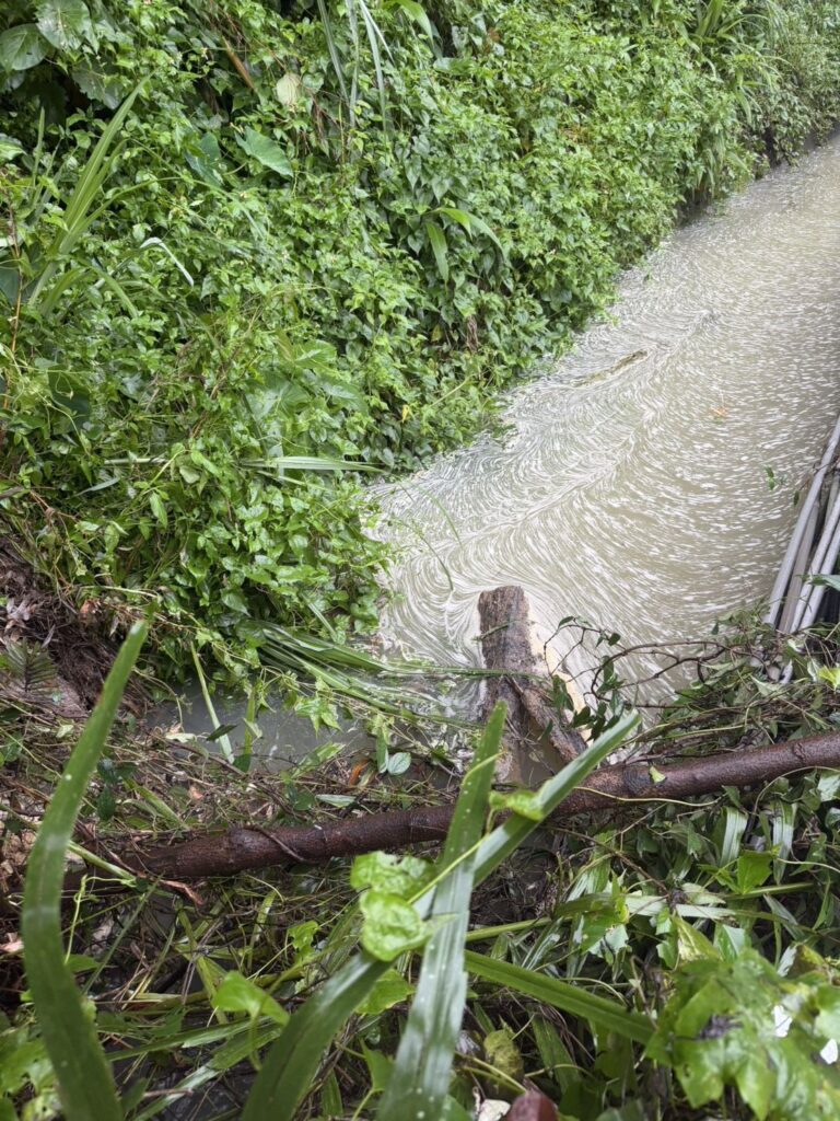 豪雨釀龜山張厝土石崩落 陳雅倫急會勘促搶修 wp 17810873173276839539118724871265