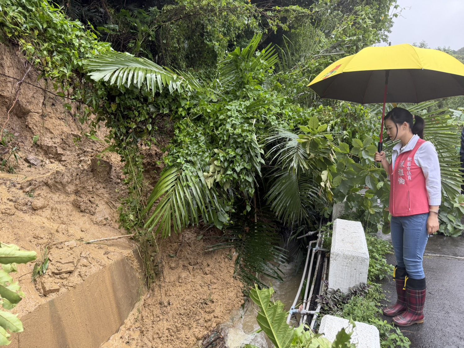 豪雨釀龜山張厝土石崩落 陳雅倫急會勘促搶修 豪雨釀龜山張厝土石崩落 陳雅倫急會勘促搶修