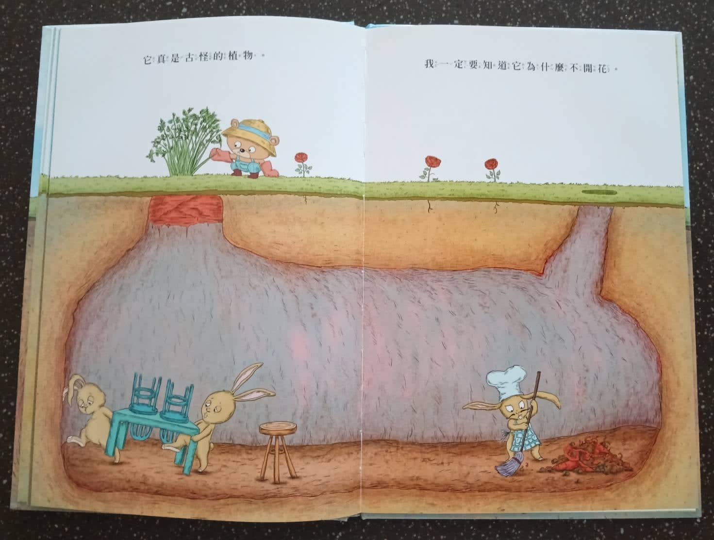 副刊/眼見不一定為憑 0712圖三 0