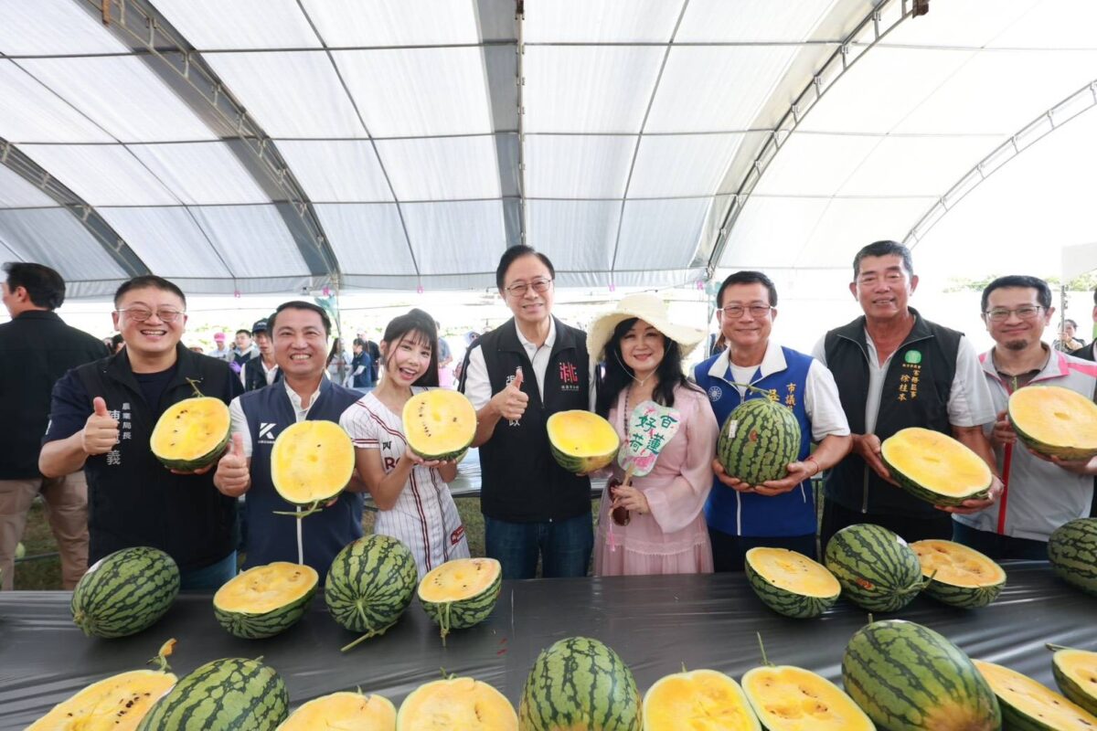 觀音7公頃蓮田花開5成!民眾品瓜賞花體驗農村風情 1086695