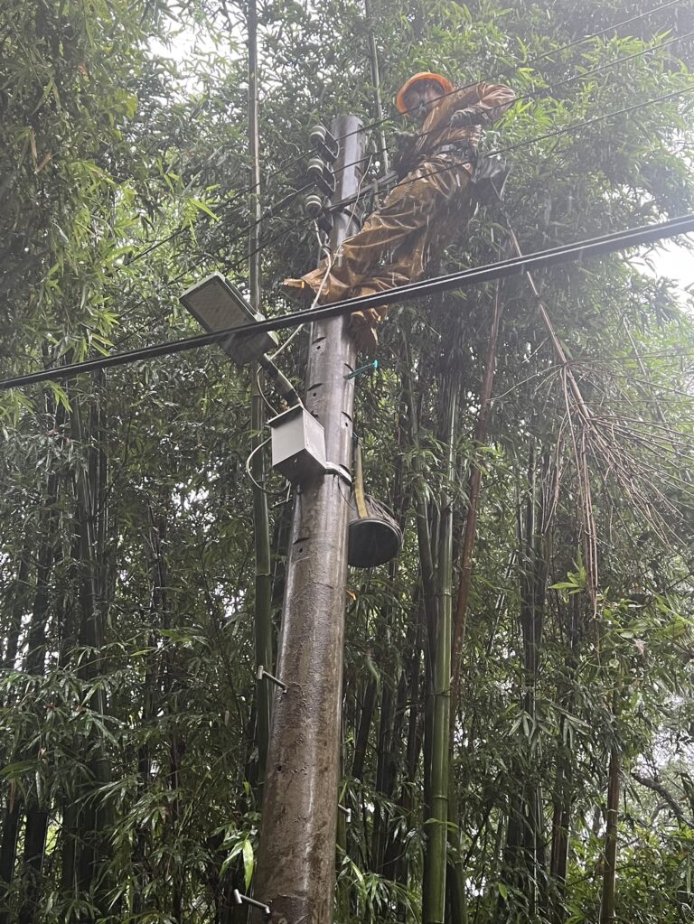 巴威重創桃園64188戶停電 台電拚午夜前全面復電 1783777356951