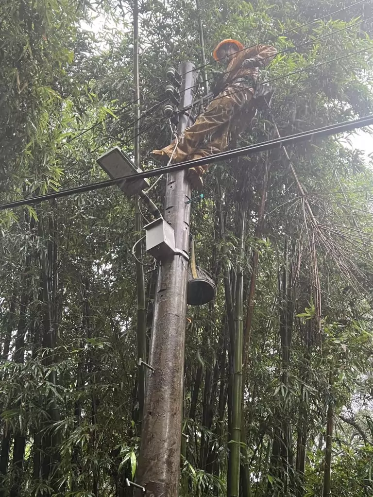 巴威重創桃園64188戶停電 台電拚午夜前全面復電 1783777356951