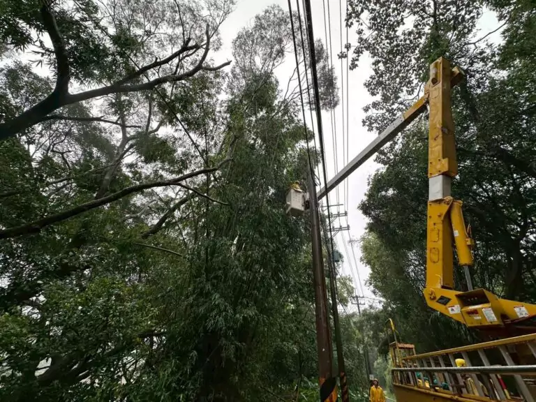 巴威重創桃園64188戶停電 台電拚午夜前全面復電 1783777434769