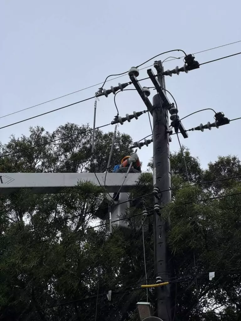 巴威重創桃園64188戶停電 台電拚午夜前全面復電 1783777436301