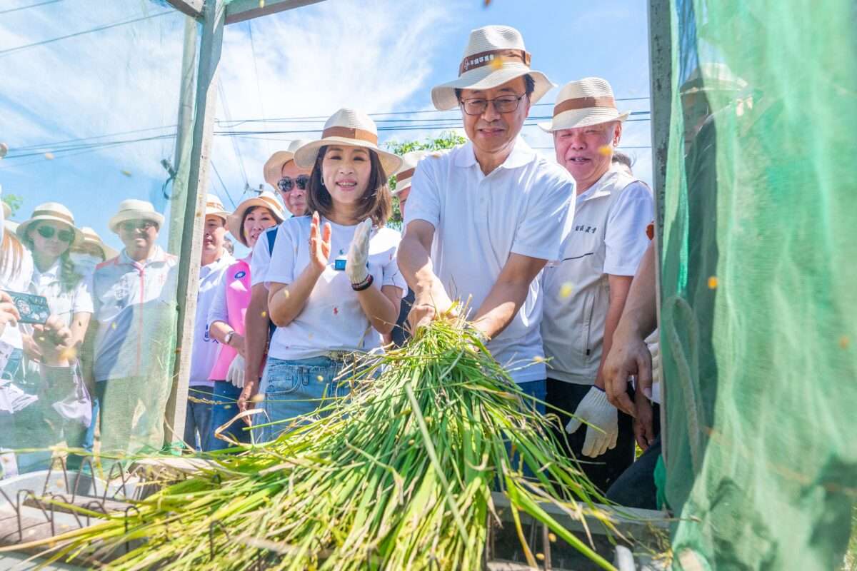 張善政體驗平鎮割稻飯曝升級敬老卡 研議開放「1福利」造福長輩 1b6b0a02 5441 441e 995b 31caa23c7925