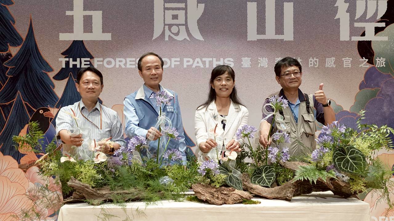 桃市圖「五感山徑」親子生態特展暑假登場 打造沉浸式森林體驗 791524