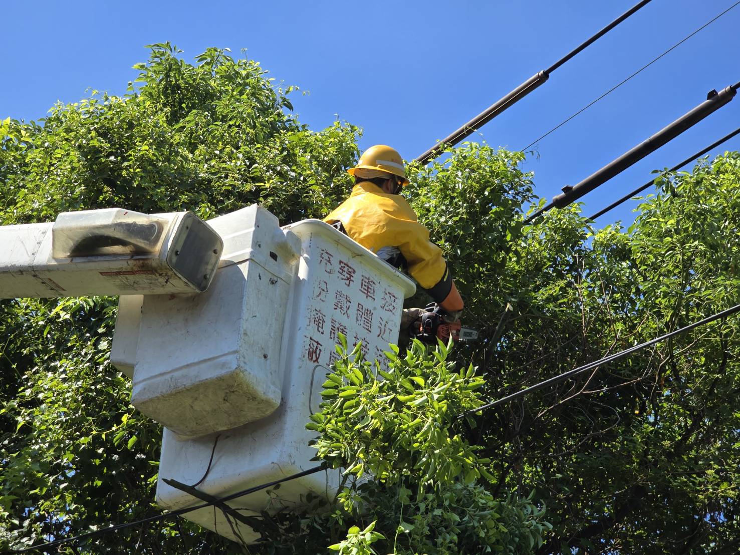 巴威周五、六對台影響最劇烈 台電桃園區處啟動防颱應變機制 S 160751649 0