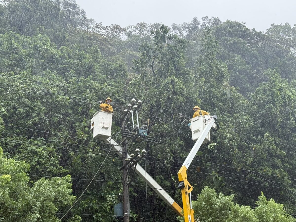 10級強風吹垮樹竹壓斷線!桃園尚餘943戶停電 台電全力搶修 S 160972893
